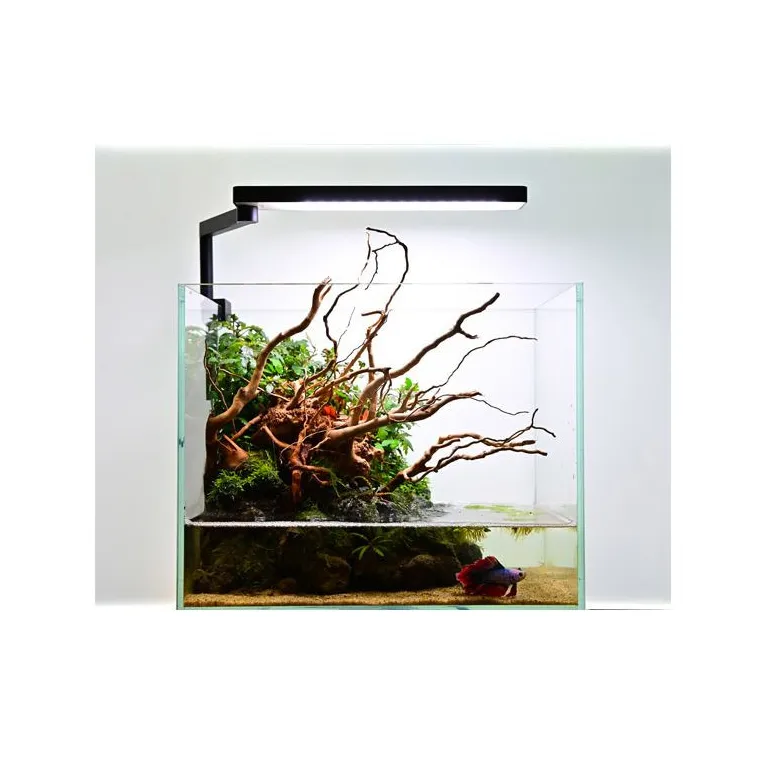 Chihiros CII rampe led