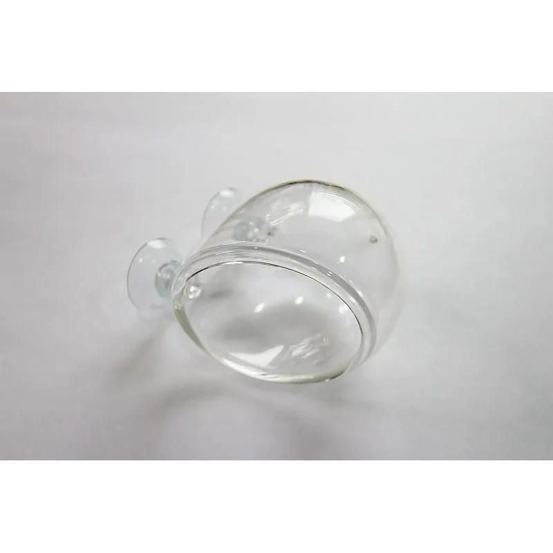 Pot en verre ventouse plante aquarium crevette aquadesigner aquascape