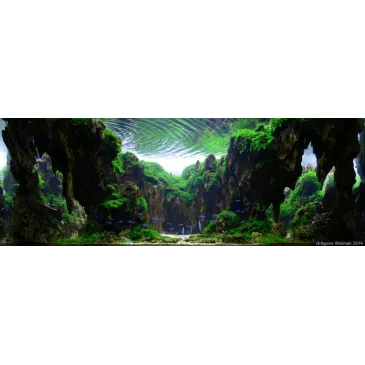 Création de hardscape sur demande