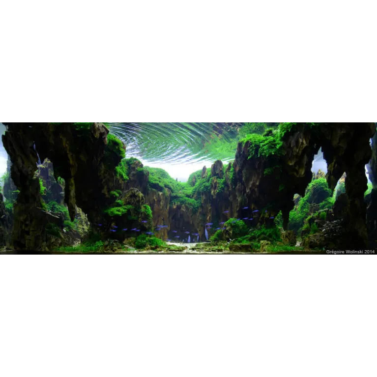 Création de hardscape sur demande