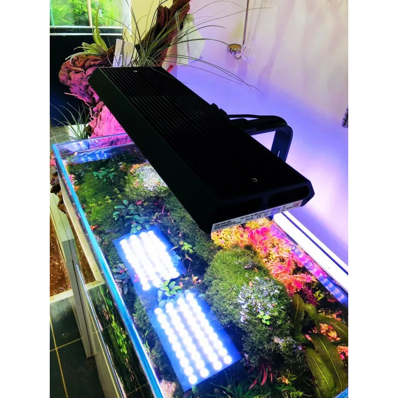 chihiros vivid mini rgb