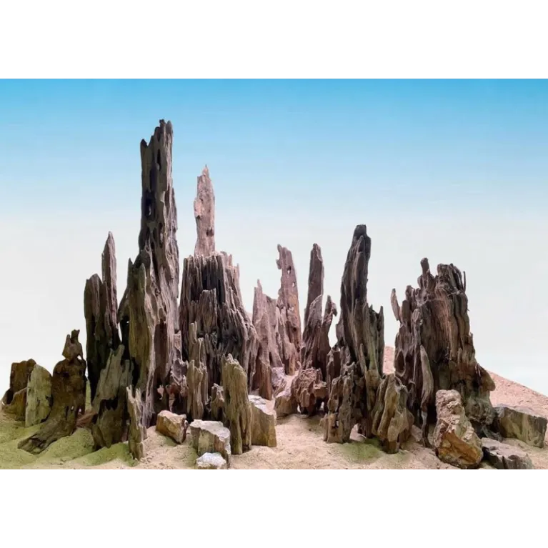 Fond lumineux 60cmx36cm rétroéclairage RGB