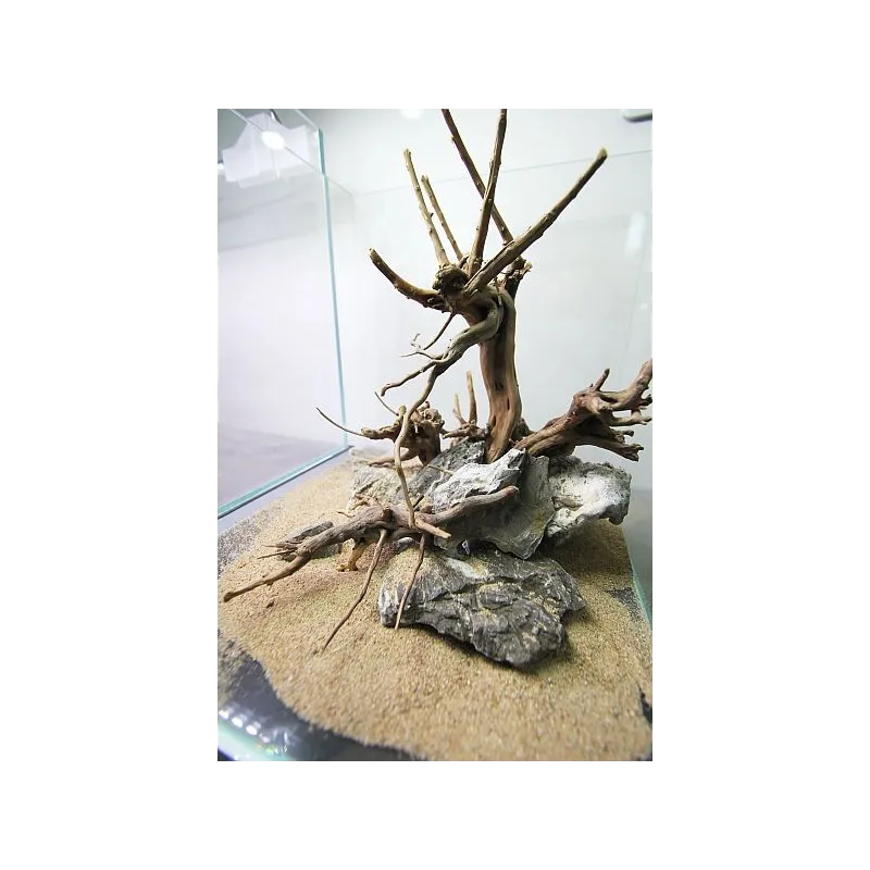 Morceau de Racine Nano forest wood 