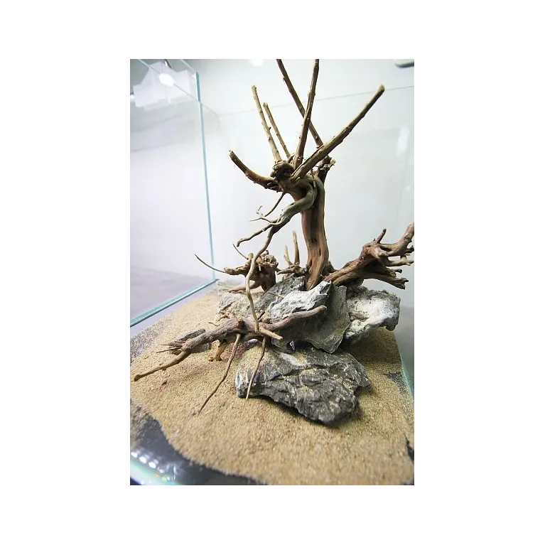 Morceau de Racine Nano forest wood 