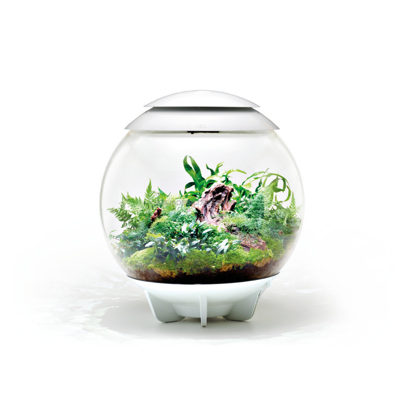 Brumisateur Automatique Terrarium BiOrb Air