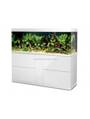 Kit aquarium vivarium avec gravier et plante L37x22xH24cm