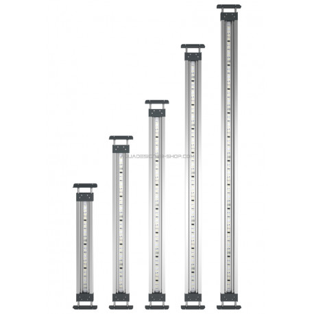 OASE HIGHLINE PREMIUM LED 100