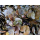 Coracao Leaves 10pcs