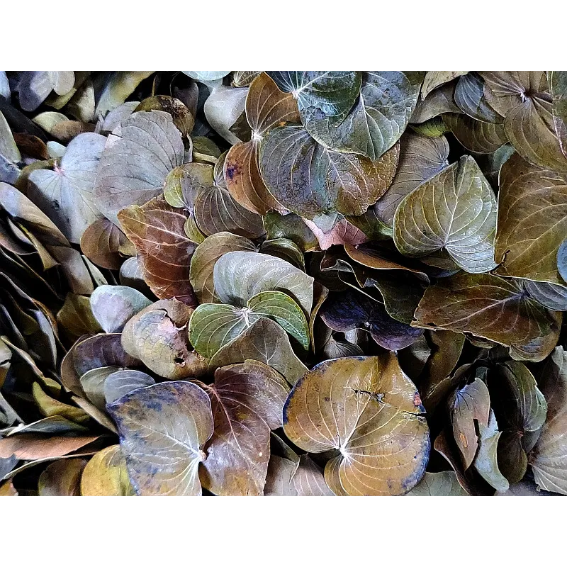 Coracao Leaves 10pcs