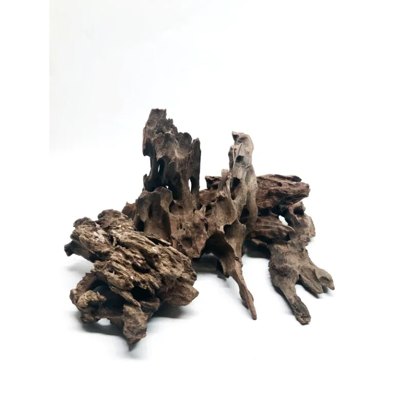 Mini Dragon wood