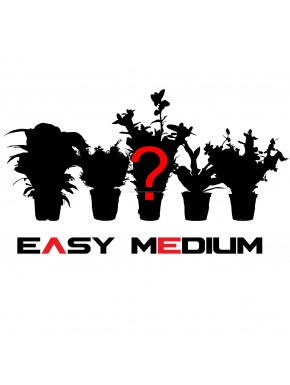 Lot de 5 plantes mystères EASY medium