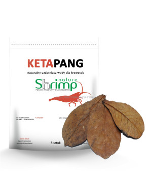 KETAPANG feuilles de catappa 5pcs shrimp nature