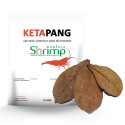 KETAPANG feuilles de catappa 5pcs shrimp nature