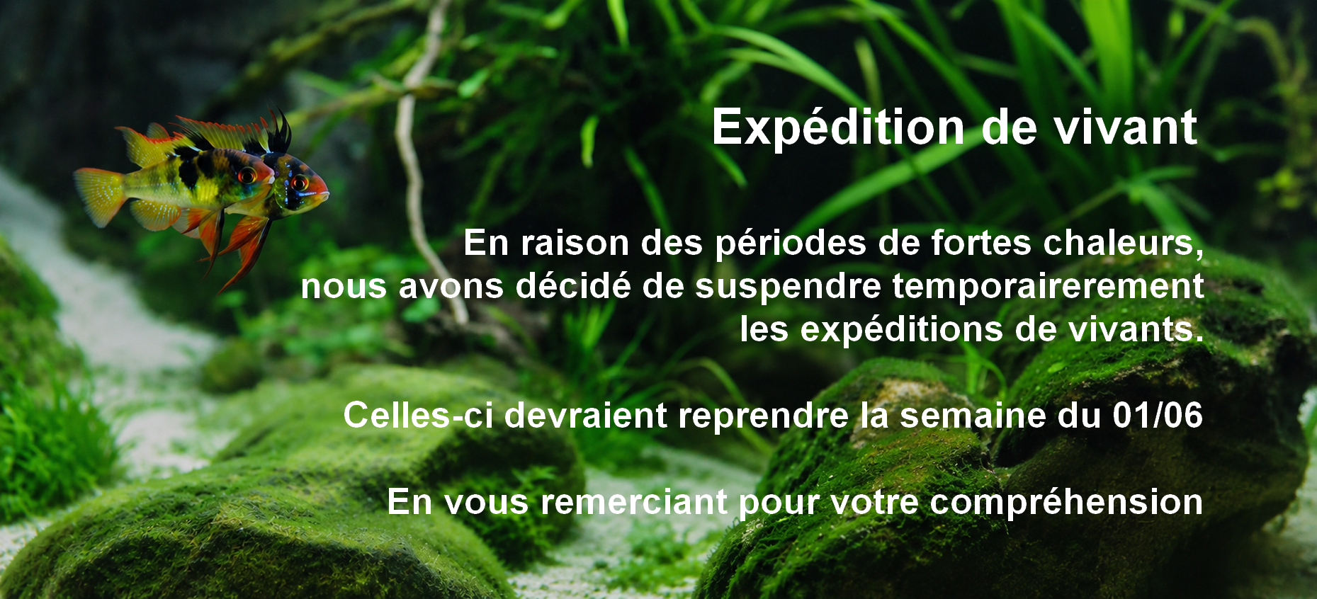 slide28